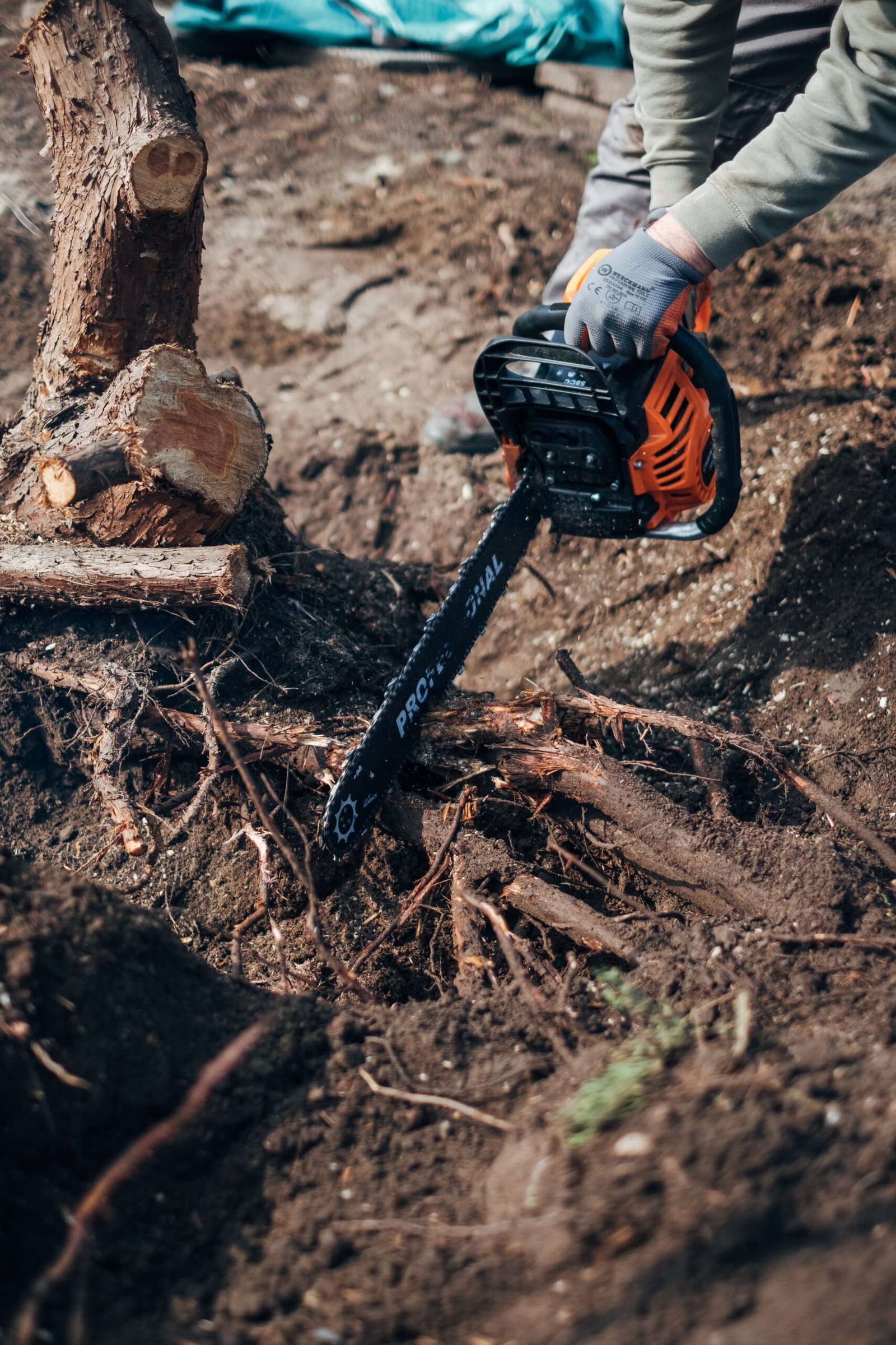 Choosing the Right Chainsaw: A Comprehensive Guide