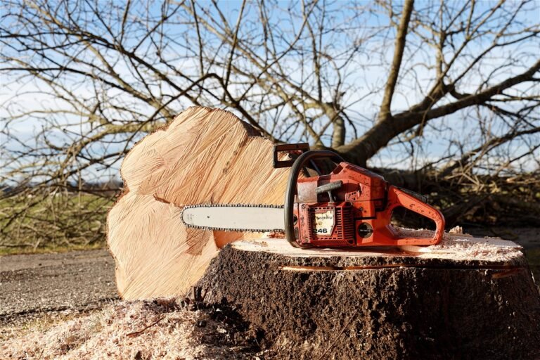 chainsaw, tree, nature-4815949.jpg